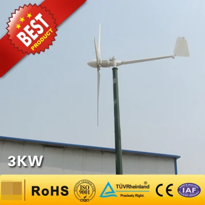 3kw 家庭用風力タービン/風力発電システム (3000W)