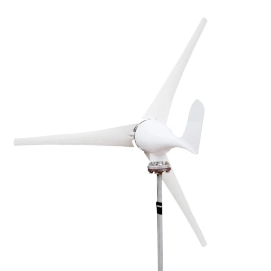 卸売家庭用白 100 ワット 200 ワット 300 ワット風力タービン風力発電機海洋風力発電機
